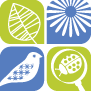 Yoga in the Park @ Nature Discovery Center | Bellaire | Texas | United States