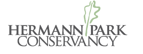Family Commons Picnic @ Hermann Park