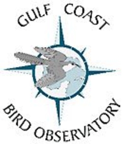 Bird Banding at GCBO @ Gulf Coast Bird Observatory | Lake Jackson | Texas | United States