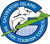 Galveston FeatherFest @ FeatherFest Headquarters | Galveston | Texas | United States