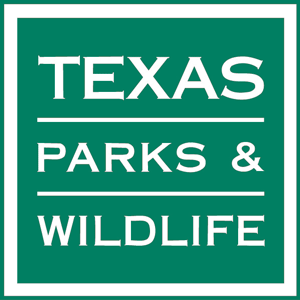 Build-A-Gator Family Workshop @ Huntsville State Park | Huntsville | Texas | United States